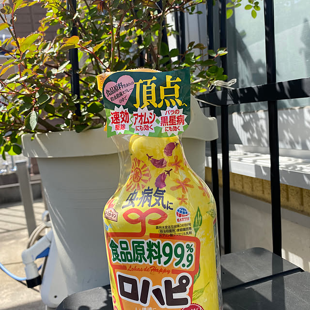 alchoさんの実例写真