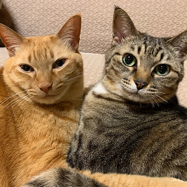 rioさんの実例写真