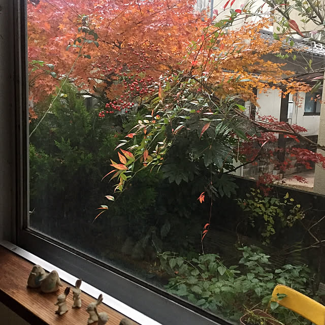 Junsunさんの実例写真