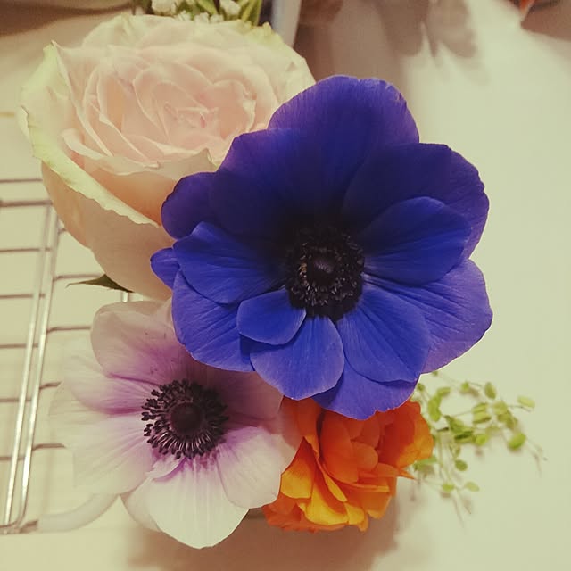 4-mamaさんの実例写真