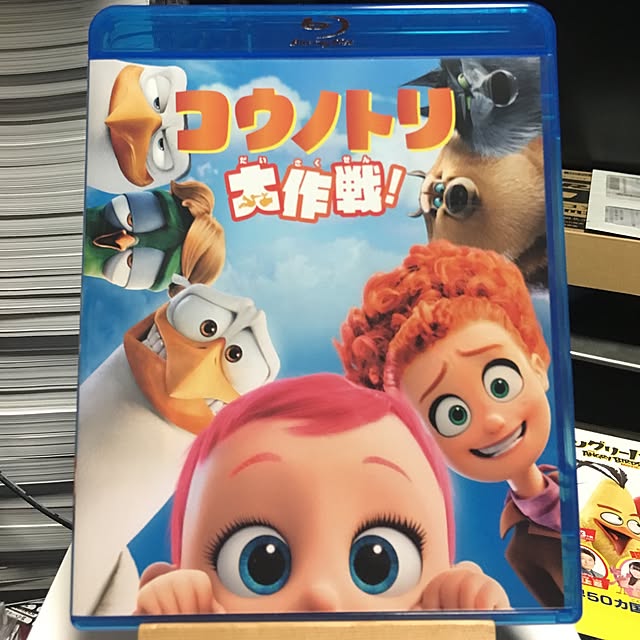 Shigeさんの実例写真