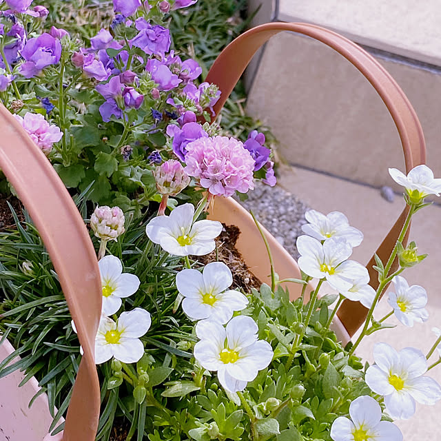 mokumokuさんの実例写真