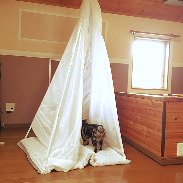 necomuraさんの実例写真