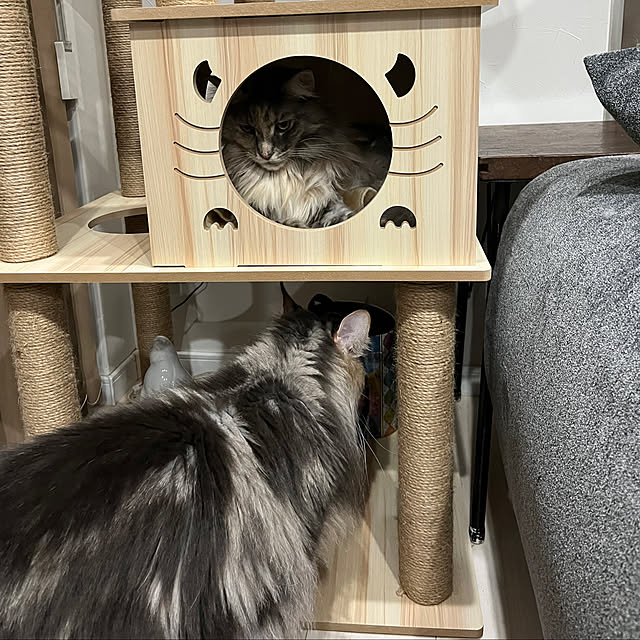 mayumiさんの部屋