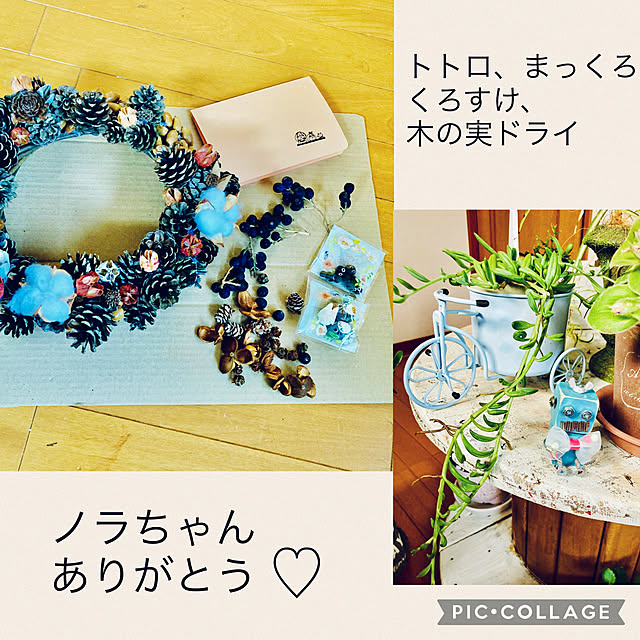 CoCo0617さんの実例写真