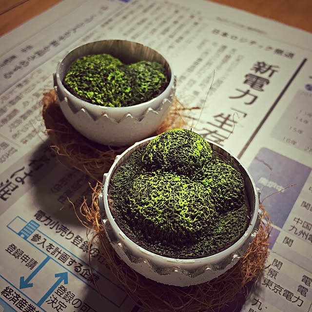 ramuchop3000さんの実例写真