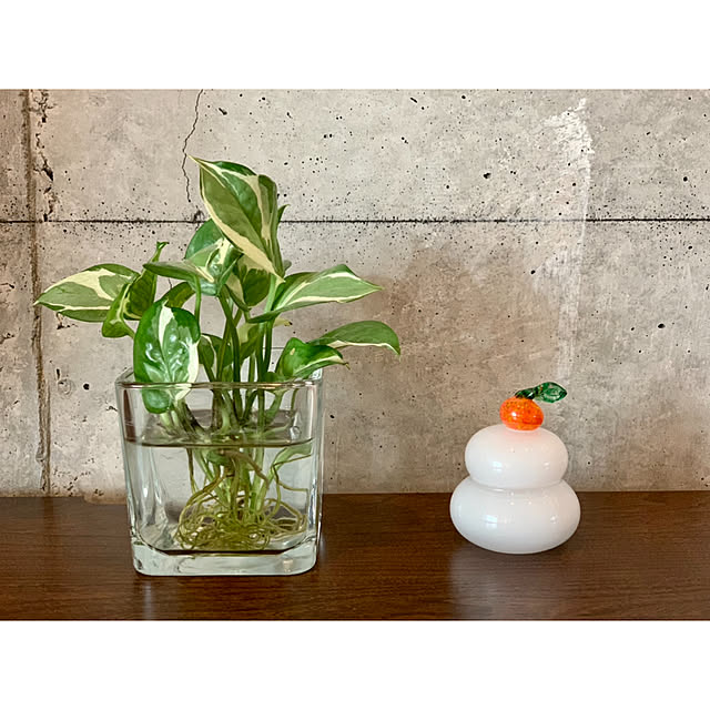 hidemaroomさんの実例写真