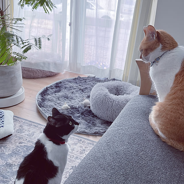 Yさんの実例写真