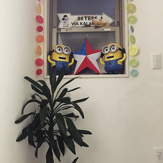 Miwaさんの実例写真