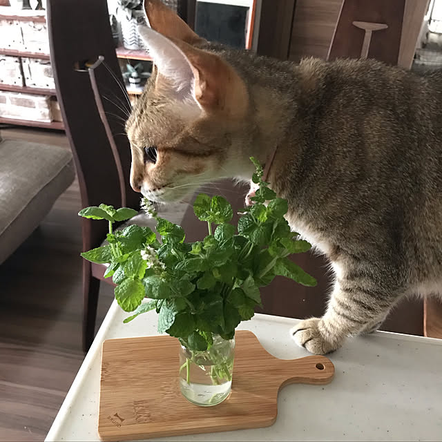 1633さんの実例写真