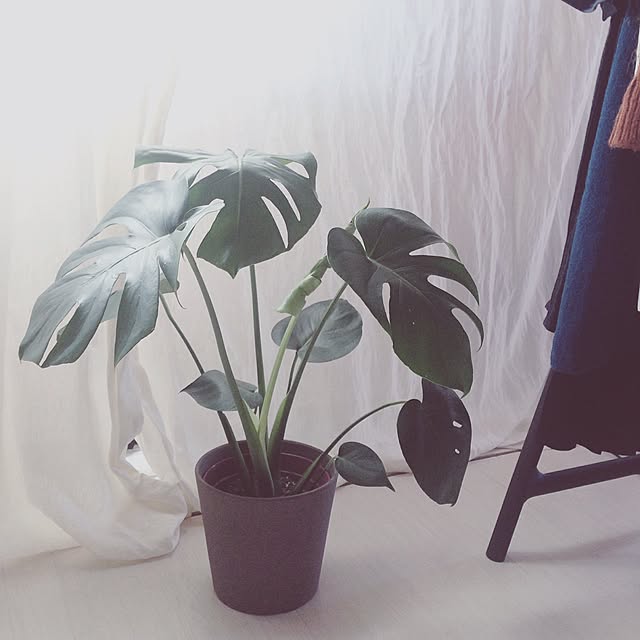 rooms aさんの実例写真