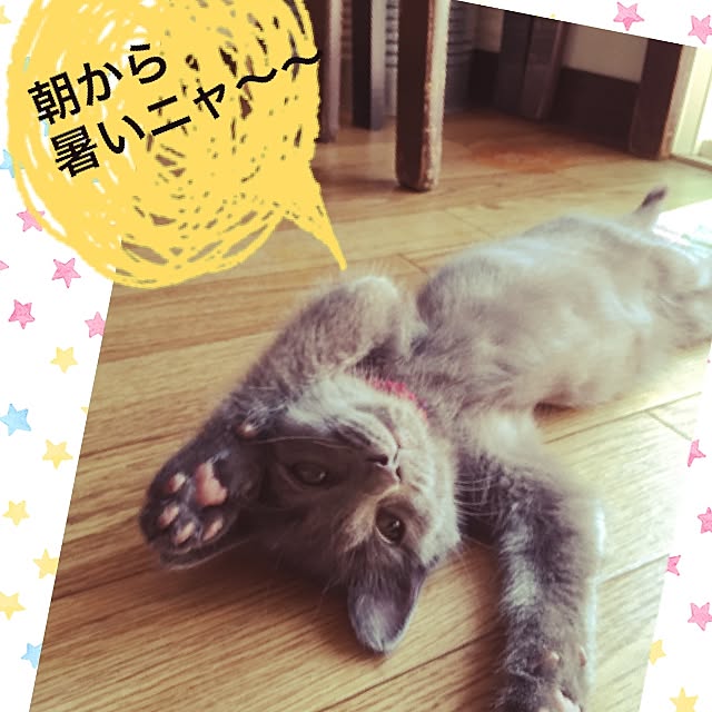 8717さんの実例写真