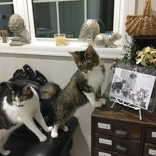 yuchiさんの実例写真