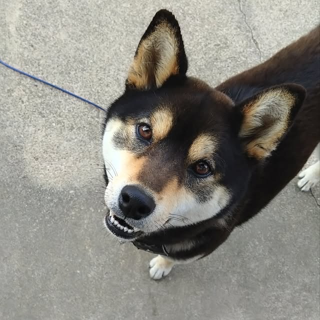 Rieさんの実例写真