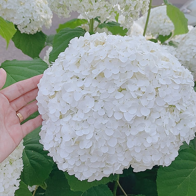 keikoさんの実例写真