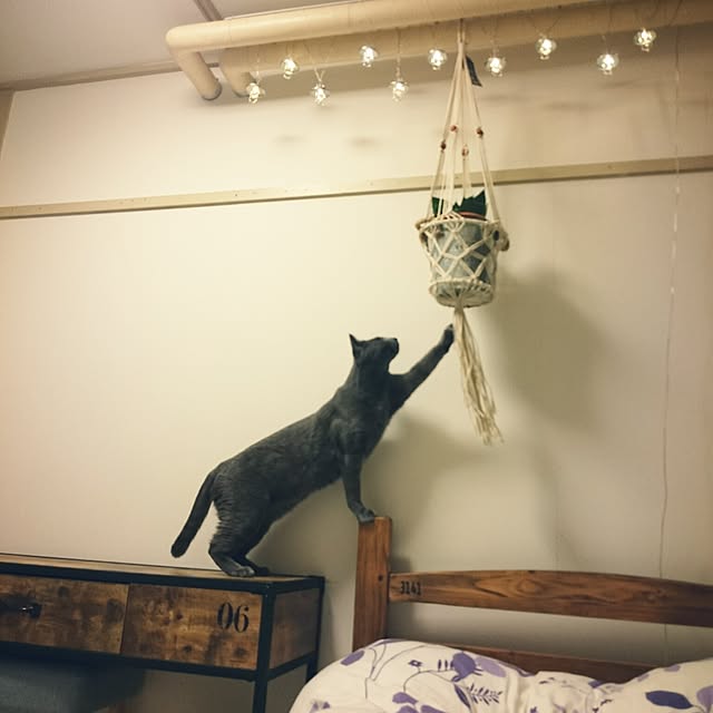3104さんの実例写真