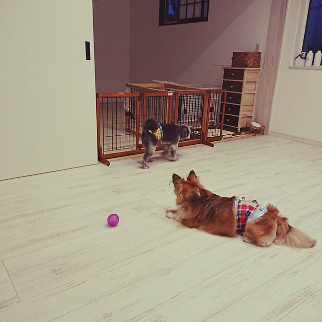 aozoraさんの実例写真