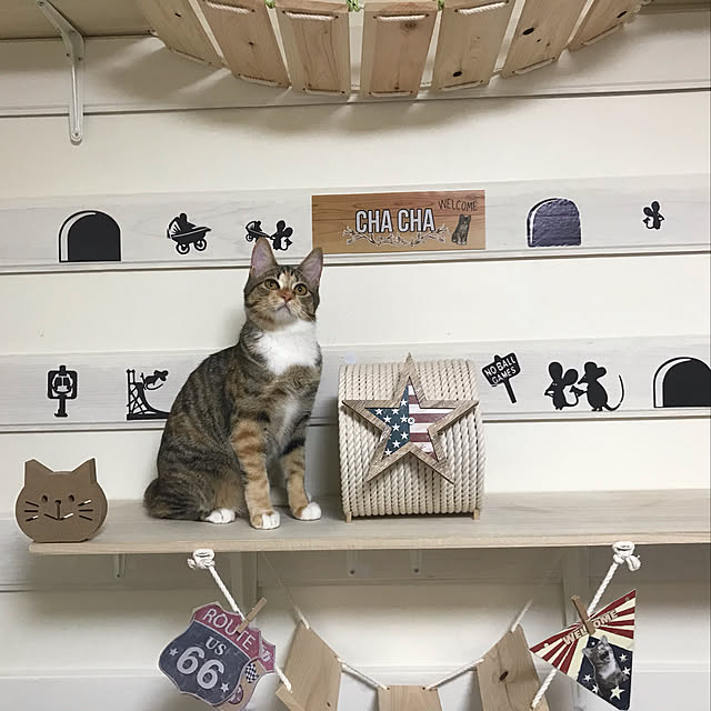 mikaさんの実例写真