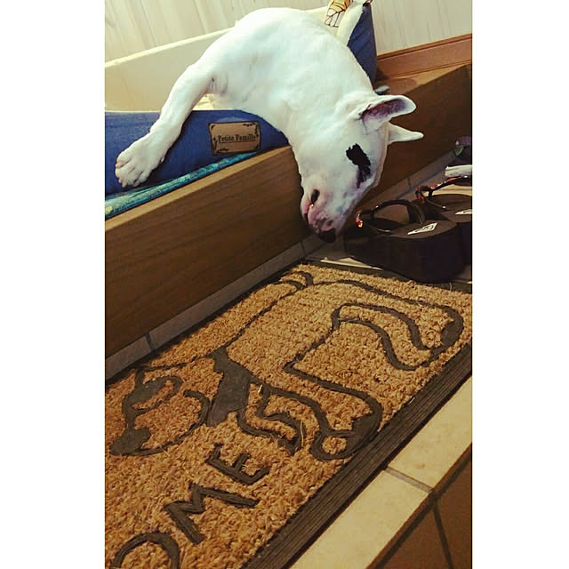 kimuneisanさんの実例写真