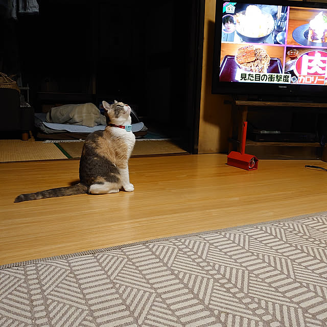 fukuさんの実例写真