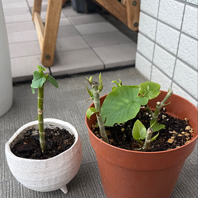 amさんの部屋