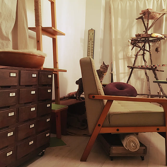 Mさんの実例写真
