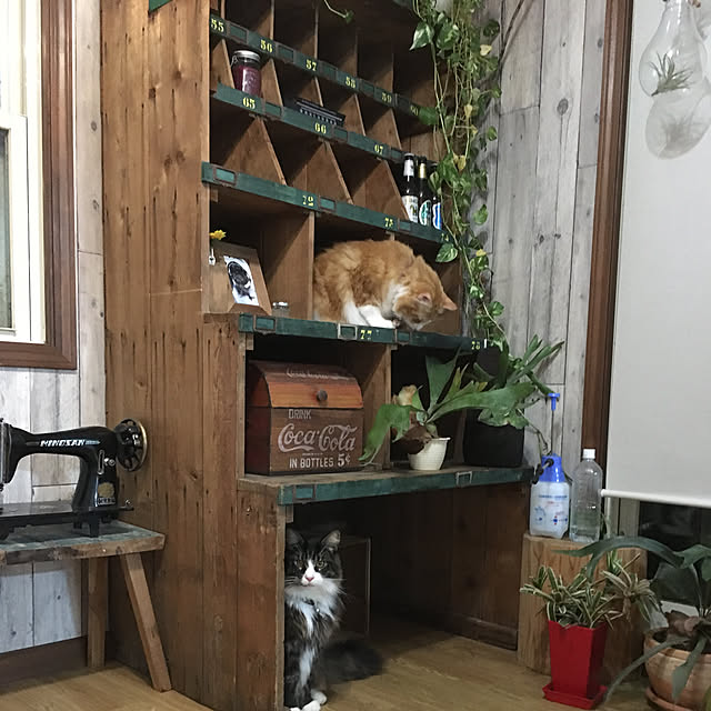 部屋全体/フランスのガラス工場のインテリア実例 - 2017-12-17 19:41:32