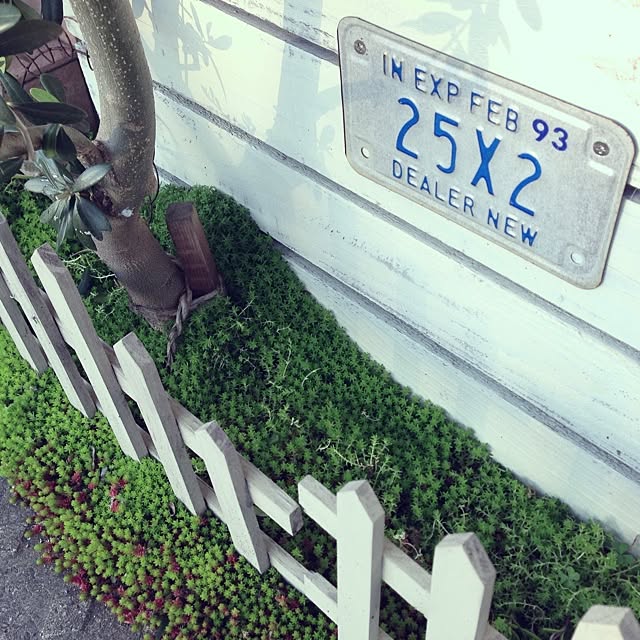 miii777さんの実例写真