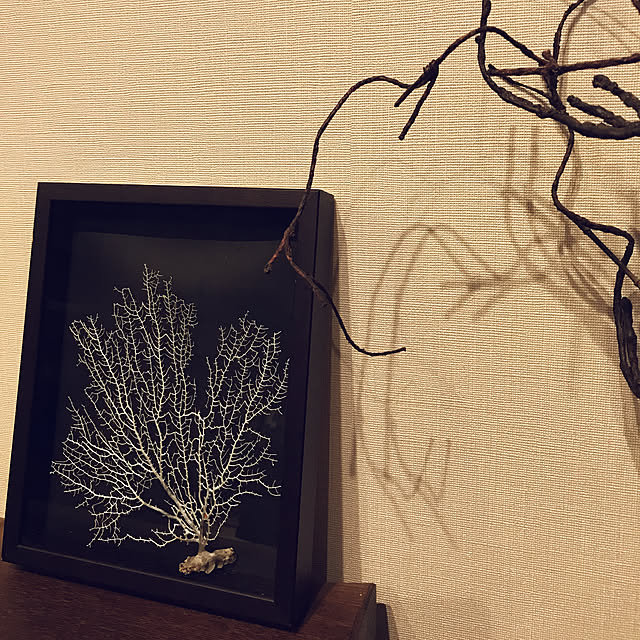 rinrinさんの実例写真
