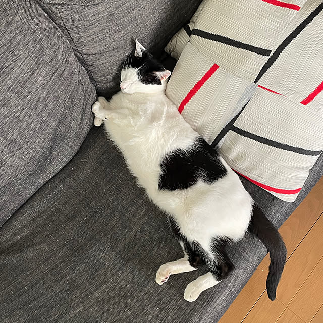 nobikoさんの実例写真