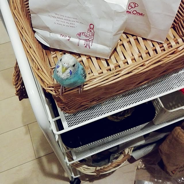 yukkieさんの実例写真