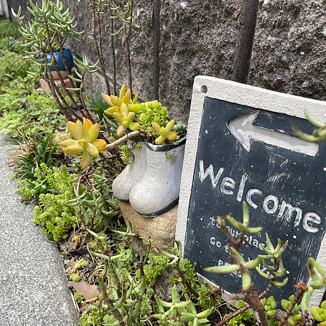 taka17cafeさんの実例写真