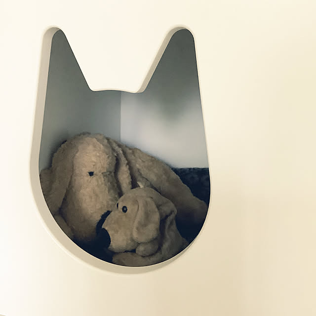 Doriさんの実例写真