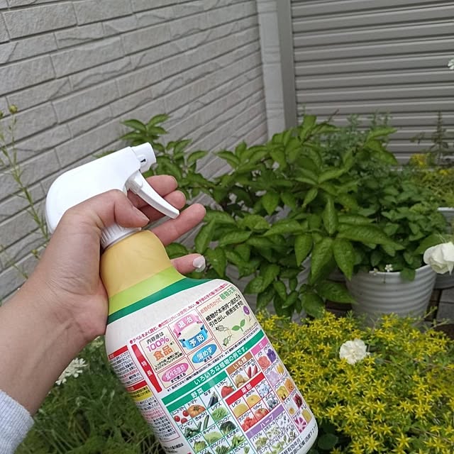 aiさんの部屋