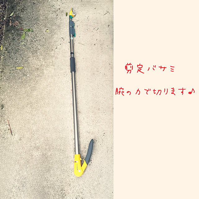 Akitaさんの部屋