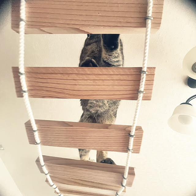 Mさんの部屋