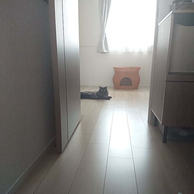 kumiさんの実例写真