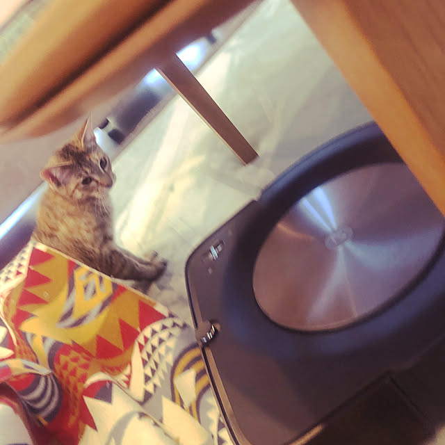 imosukeさんの実例写真