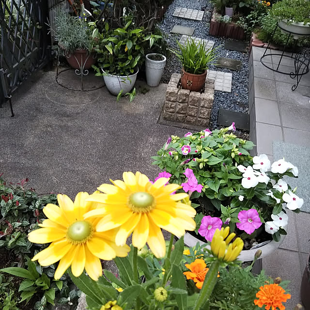 sa.yさんの実例写真