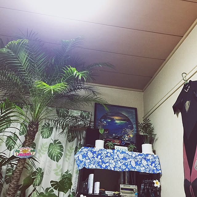 HauOliさんの実例写真