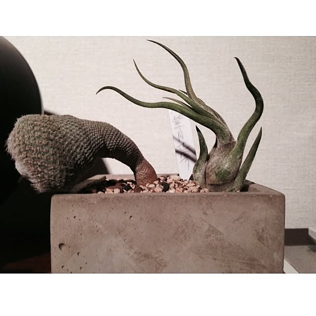 aknb08さんの実例写真
