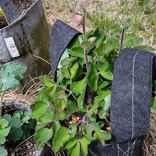 t.yumiさんの部屋