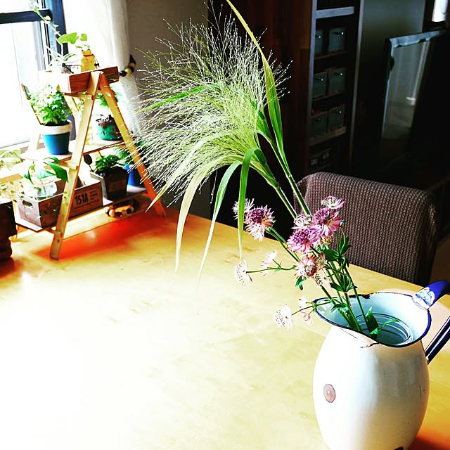 andante365さんの実例写真