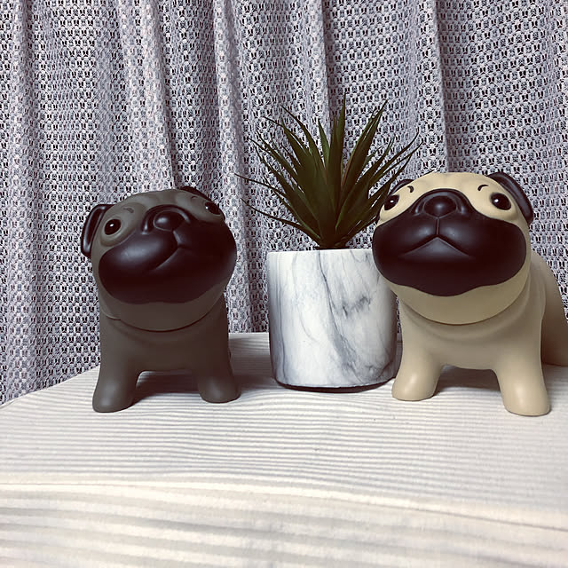 chacoさんの実例写真