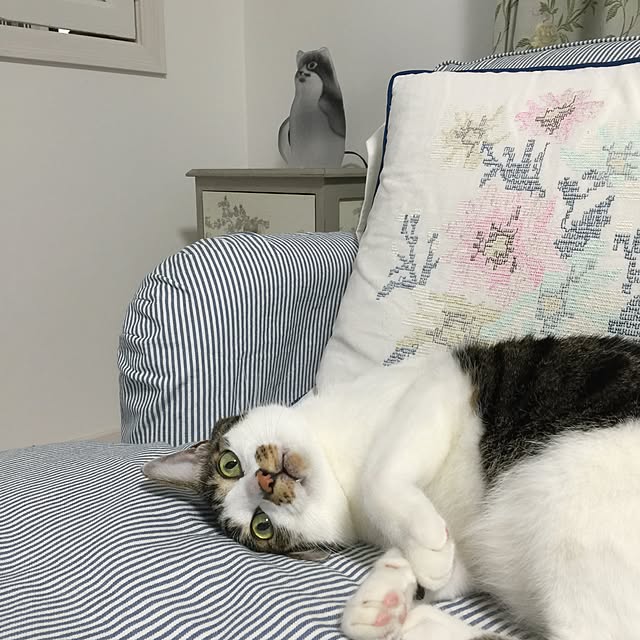 yuchiさんの実例写真