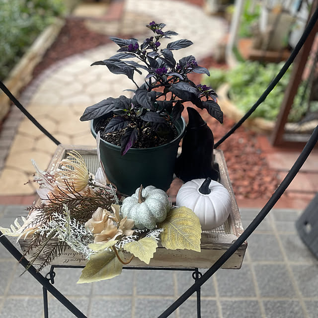 Ma-saさんの部屋