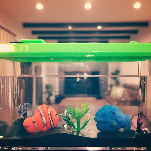 Nanaさんの実例写真