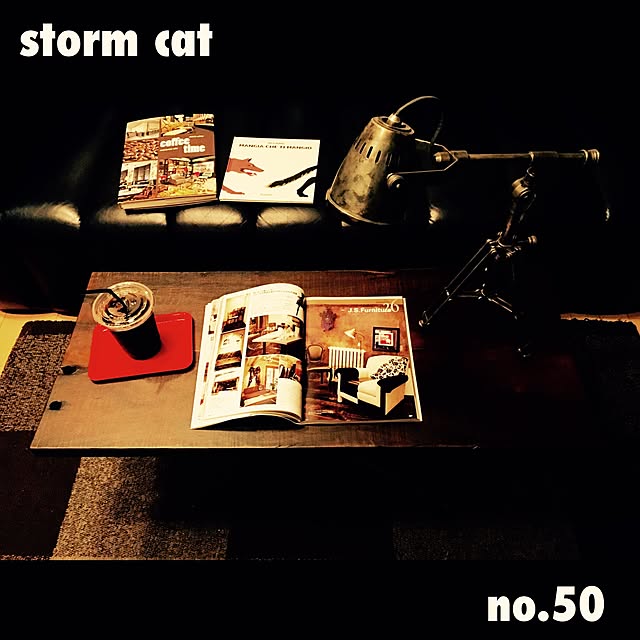 stormcatさんの実例写真