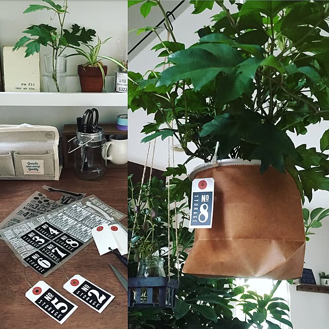 ai-nanairoさんの実例写真