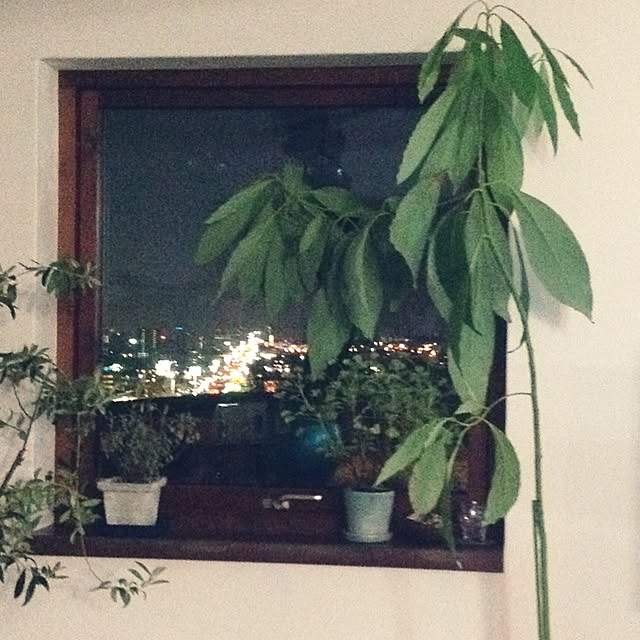 rosioさんの実例写真